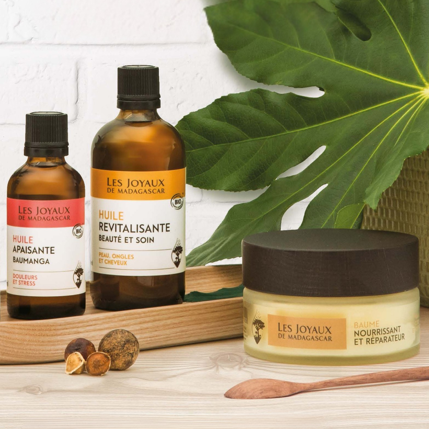 Les Joyaux de Madagascar